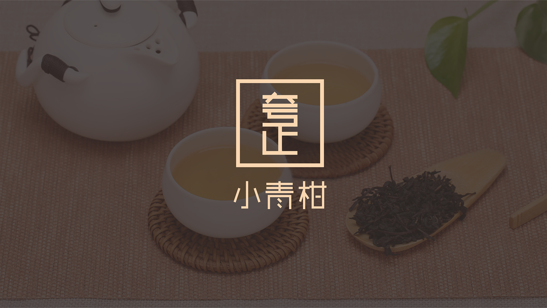 小青柑茶包装策划设计-江门夸正茶业公司
