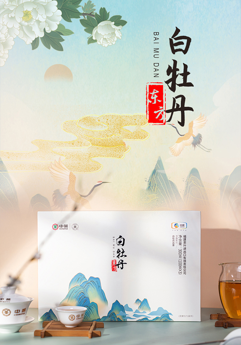 深圳茶类食品包装设计